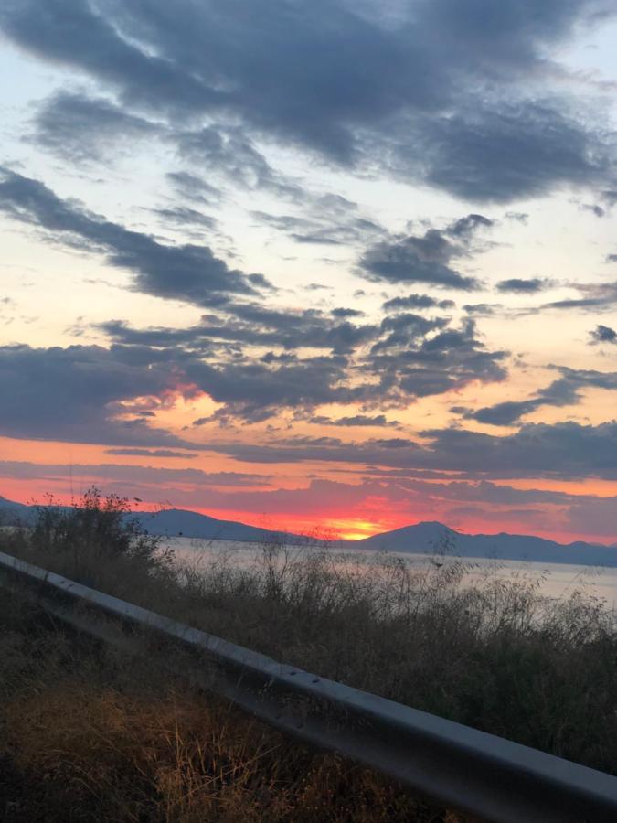Paralia Platanou Seaview House Εξωτερικό φωτογραφία