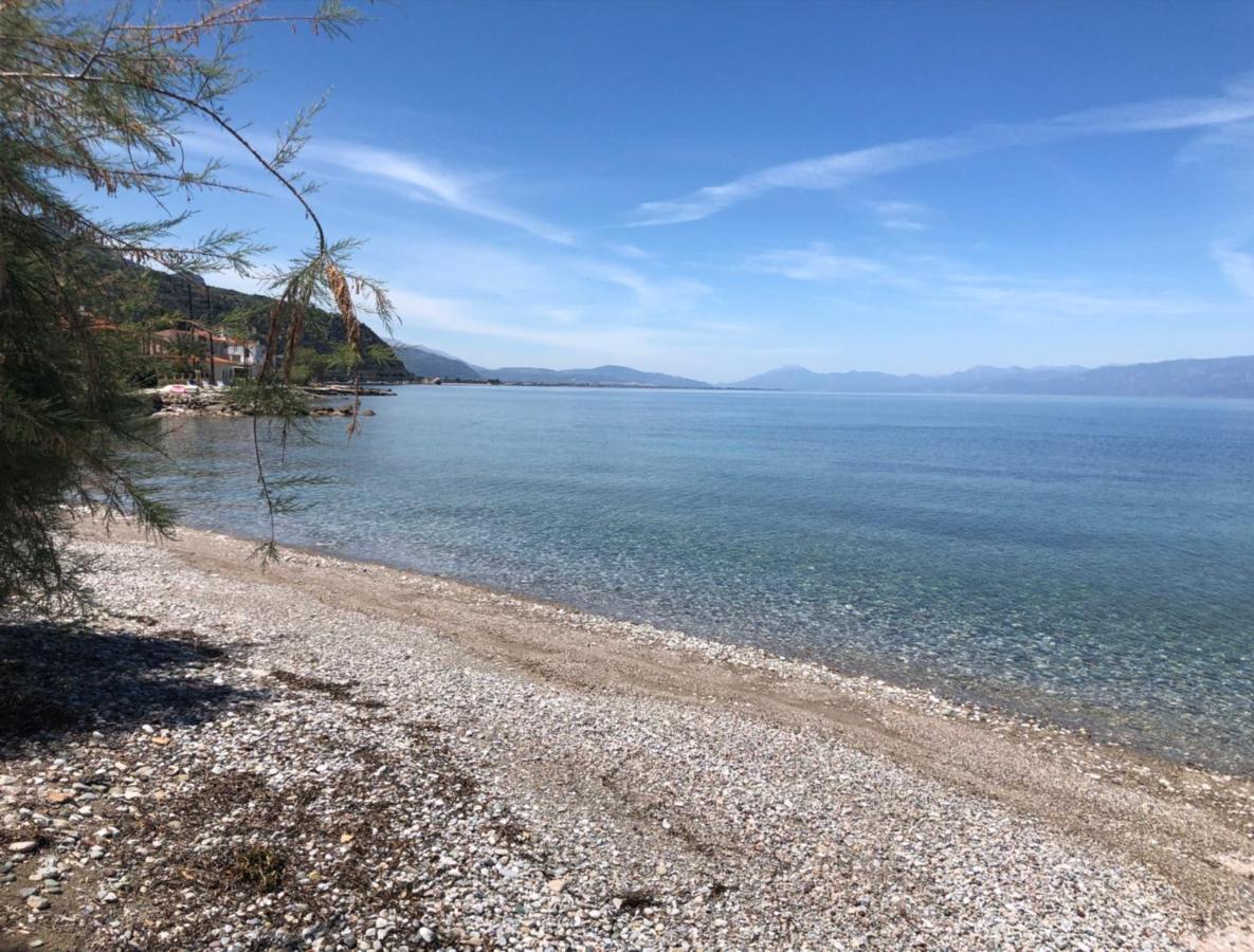 Paralia Platanou Seaview House Εξωτερικό φωτογραφία