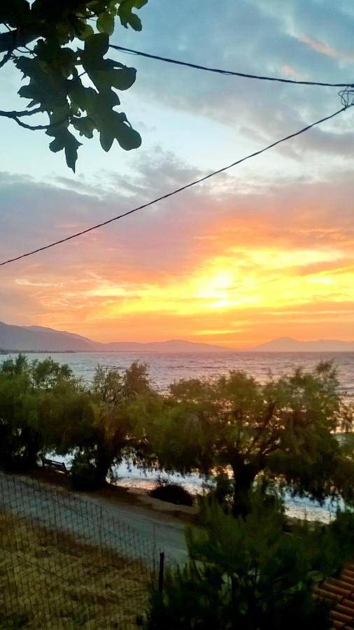 Paralia Platanou Seaview House Εξωτερικό φωτογραφία